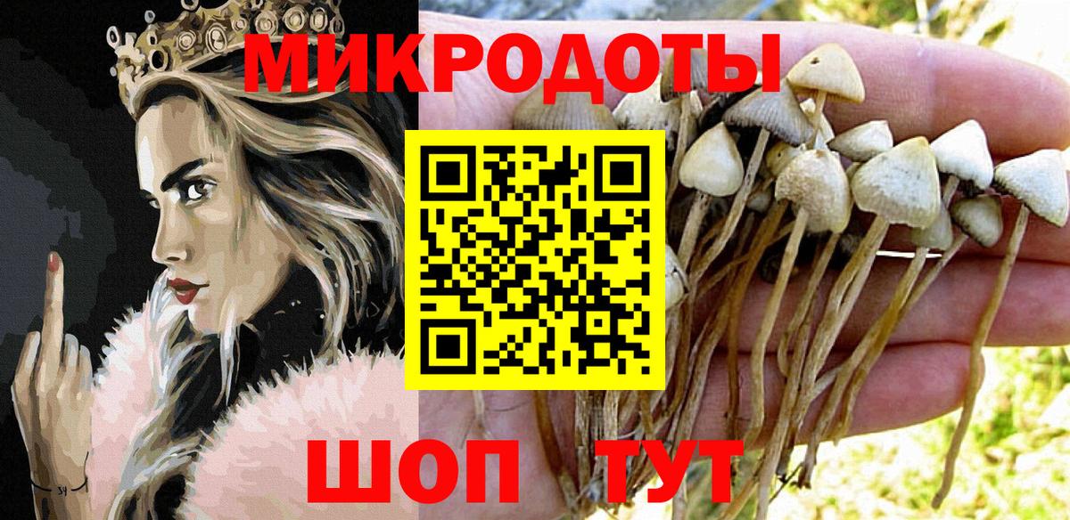 Псилоцибиновые грибы мицелий  Вход с VPN  Алейск  закладки  Галлюциногенные грибы мицелий 