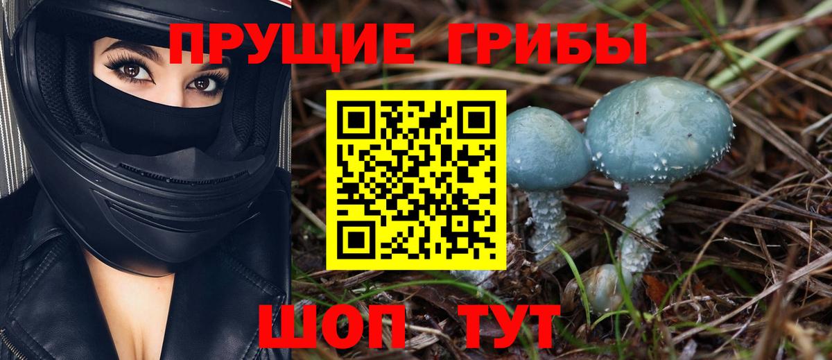 Галлюциногенные грибы прущие грибы Алейск