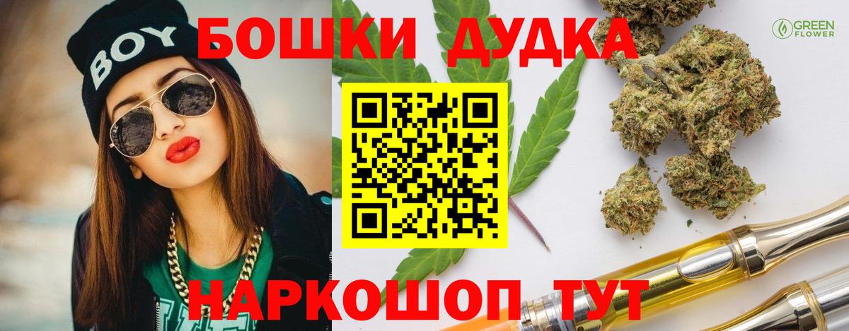 Бошки Шишки план Алейск
